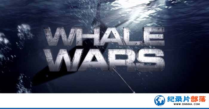 ̽Ƶҵ¼Ƭս Whale Wars1-Ѹ