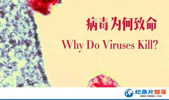 BBCȾռ¼ƬΪ Why Do Viruses Killȫ1-Ѹ