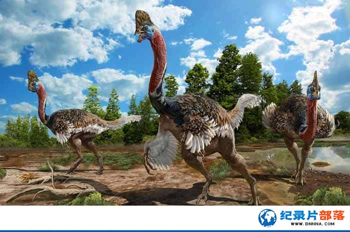 ҵ¼Ƭݻ㼣 Ѹͻ Dino Turkeyȫ1¼Ƭٶ