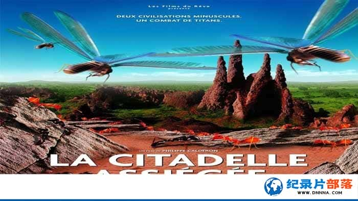 ̽¼ƬΧǱ La Citadelle Assiegeeȫ1¼Ƭٶ