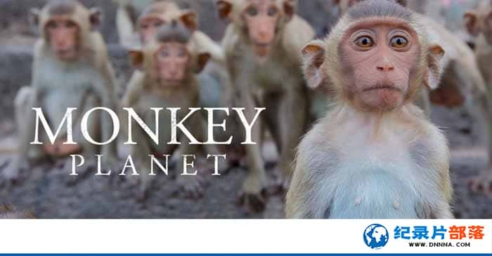 BBC¼Ƭ鳤 Monkey Planetȫ3¼Ƭٶ