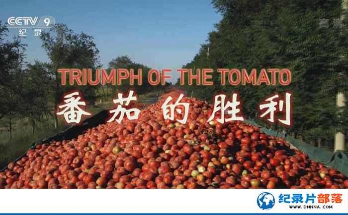 CCTVʳ¼Ƭѵʤ Triumph of the Tomatoȫ1-Ѹ