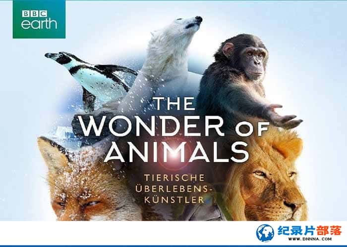 BBC¼Ƭ涯 The Wonder of Animals 2017ȫ5-