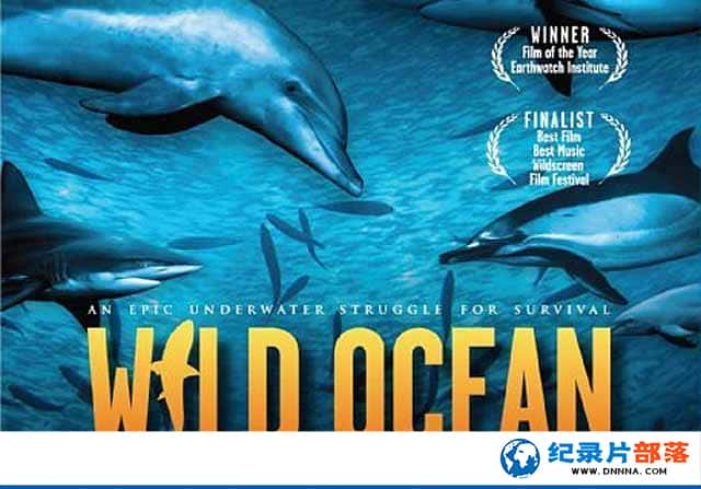 IMAX̬¼ƬҰԺ Wild Ocean 2008ȫ1-Ѹ