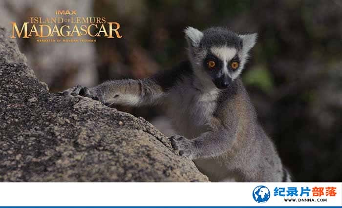 IMAX¼Ƭ˹ӣ֮ Island of Lemurs Madagascarȫ1¼Ƭٶ