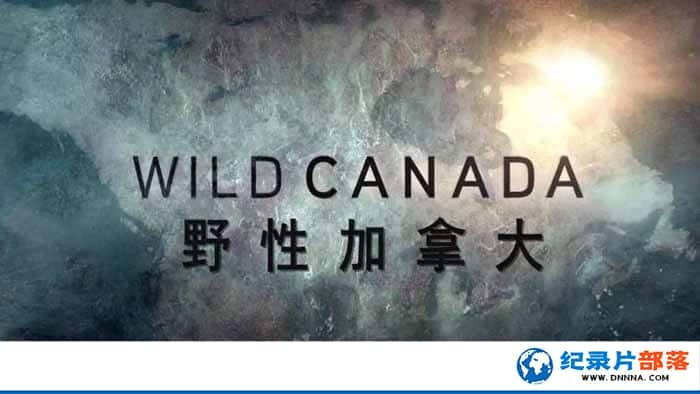 CBCȻ̬¼ƬҰԼô Wild Canadaȫ5¼Ƭٶ-Ѹ