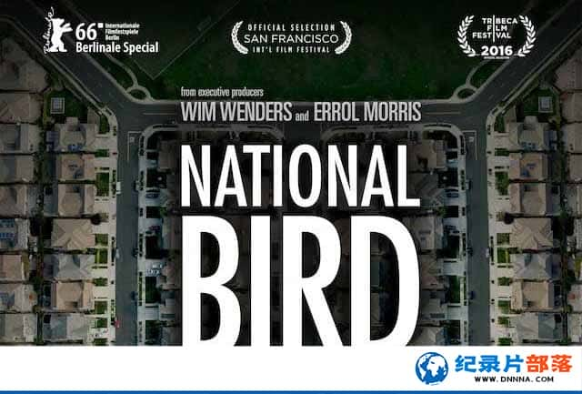 ˻¼Ƭսӥ National Birdȫ1-Ѹ