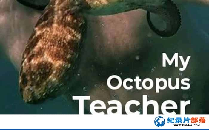 Ȼ̬¼Ƭҵʦ My Octopus Teacherȫ1-Ѹ