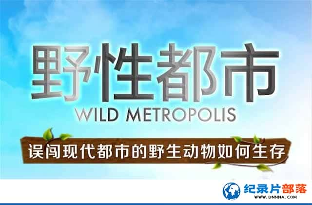 Ȼ̬¼ƬҰԶ Wild Metropolisȫ3-Ѹ