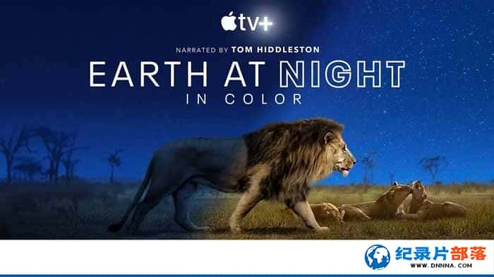 Ұ¼Ƭҹɫеĵ Earth at Night in Color1-Ѹ