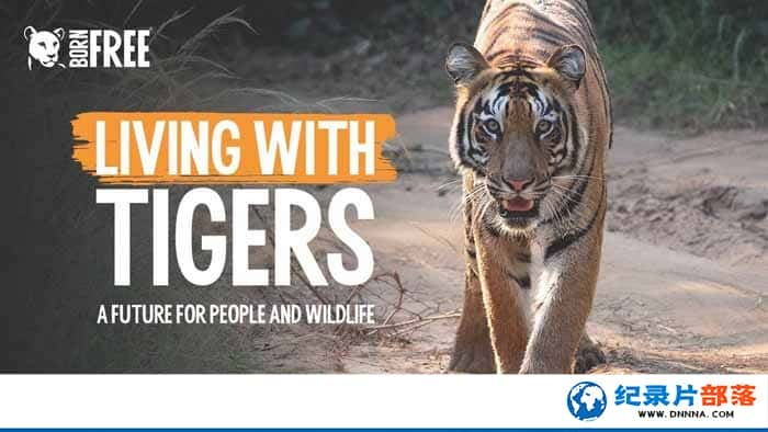 ̽ƵҰ¼ƬХ ϻ԰ Living With Tigersȫ1-Ѹ