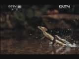 Ȼ¼ƬȻ桷 20120731 ̽ ֮ƪ-Ѹ