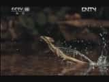 Ȼ¼ƬȻ桷 20120810 ̽ ֮顷-Ѹ