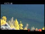 CCTVȻ¼Ƭӵ̽ й 2010-12-12-Ѹ