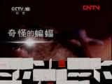 CCTVȻ¼Ƭй 20110829 Ӱ׷١-Ѹ