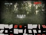 CCTVȻ¼Ƭȵ й20110823-Ѹ