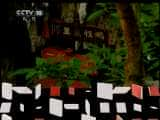 CCTVȻ¼Ƭй 20110622 һ-Ѹ