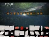 CCTVȻ¼Ƭй 20110616 ȱΣ-Ѹ