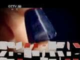 CCTVȻ¼Ƭй 20110528 صġʯ-Ѹ