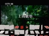 CCTVȻ¼Ƭй 2011 50 軯ľ桷-Ѹ