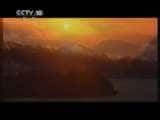 CCTVȻ¼Ƭй 2011 31 ӵܡ-Ѹ