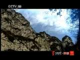 CCTVȻ¼Ƭ й20110128-Ѹ