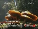 CCTVȻ¼Ƭй 20121012 ϵнĿˮ桷֡-Ѹ