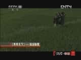 CCTVȻ¼Ƭй 20121002 ϵнĿѰ¡Ͽؾ-Ѹ