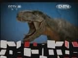 CCTVȻ¼Ƭй 20120902 ϵнĿйȫͼ޹֮ա-Ѹ