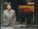 CCTVȻ¼Ƭй 20131118 ˮӰ-飨ϣ-Ѹ