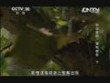 CCTVȻ¼Ƭй 20130903 ԰-ְӰ£-Ѹ