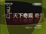 CCTVȻ¼Ƭй 20130504 Ѱ¡ɫ顷-Ѹ