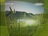 CCTVȻ¼Ƭй 20130430 Ѱ¡塷-Ѹ