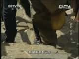 CCTVȻ¼Ƭ޸ס֮ ¡й 20130303-Ѹ