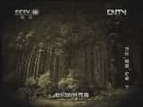 CCTVȻ¼Ƭй 20130224 Ǳ֮գ£-Ѹ