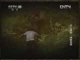 CCTVȻ¼Ƭй 20130124 ̽ءߡ-Ѹ