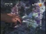 CCTVȻ¼Ƭй 20130107 صԲΡȵƣУ-Ѹ