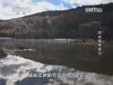 CCTVȻ¼Ƭй 20140512 ̽-Ѹ