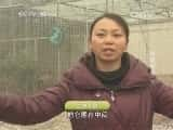 CCTVȻ¼Ƭй 20140404 ԭ̽棨£-Ѹ