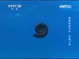 CCTVȻ¼Ƭй 20150207 رĿ֮ա-Ѹ