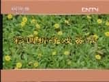 CCTVϷ¼Ƭ[ݴϷ̨]ʵ硴ÿ 20130422-Ѹ