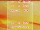 CCTVϷ¼Ƭй񾫴⡤硴ȺӢᡵ-Ѹ