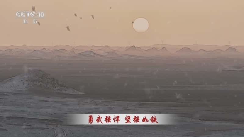 央视文化纪录片《百家讲坛·大唐诗旅 7 轮台之雪》720P/1080I央视高清国语中字网盘下载