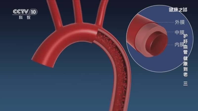 央视健康纪录片《护好血管 健康到老（三）》720P/1080I央视高清国语中字网盘下载