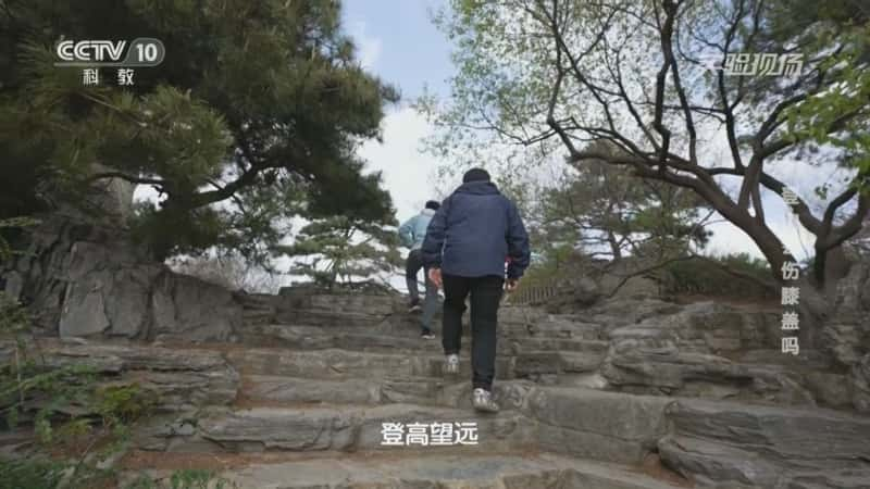 科技科普纪录片《登山会伤膝盖吗》720P/1080I央视高清国语中字网盘下载