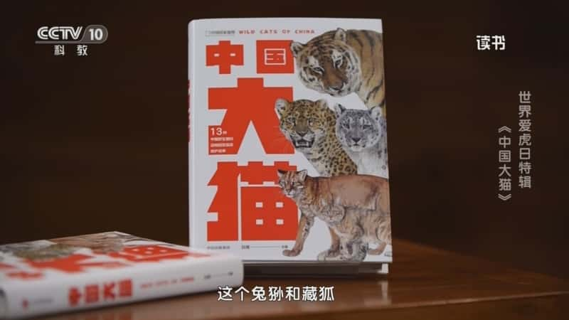 文化书摘纪录片《吕植 〈中国大猫〉 世界爱虎日特辑：〈中国大猫〉》720P/1080I央视高清国语中字网盘下载