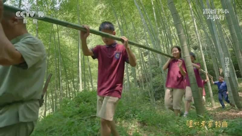 文化旅游纪录片《竹子造纸》720P/1080I央视高清国语中字网盘下载