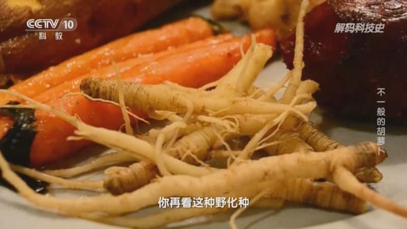 科技科普纪录片《了不起的蔬菜——不一般的胡萝卜》720P/1080I央视高清国语中字网盘下载