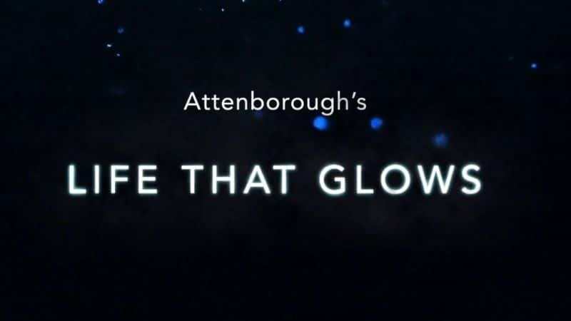 BBCԭ¼ƬAttenborough-ˮӡѸ