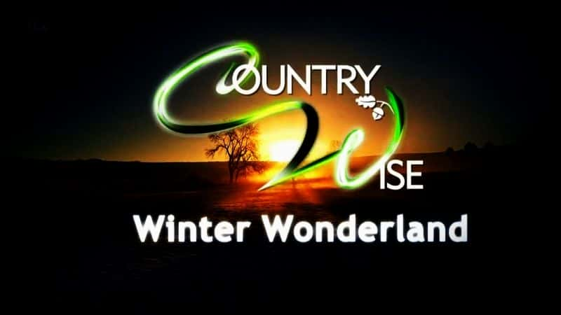 ԭ¼ƬCountrywiseɾ-ˮӡѸ